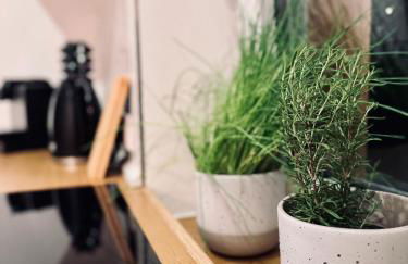 Gästehaus Grüne Oase - Foto 25