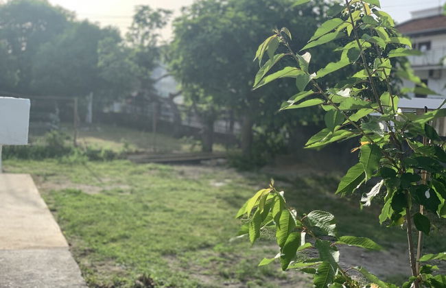 Dibra Apartmants - Photo 18