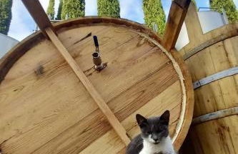 Agriturismo Gli Archi - Foto 17