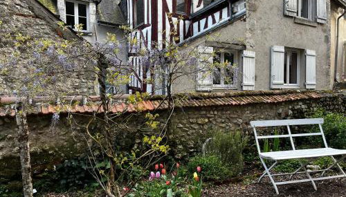 Châtel Rose - Historical Centre with Garden - Foto 3