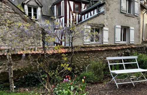 Châtel Rose - Historical Centre with Garden - Foto 3