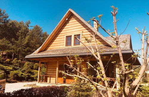 Domy całoroczne Osada na Górce - Foto 9