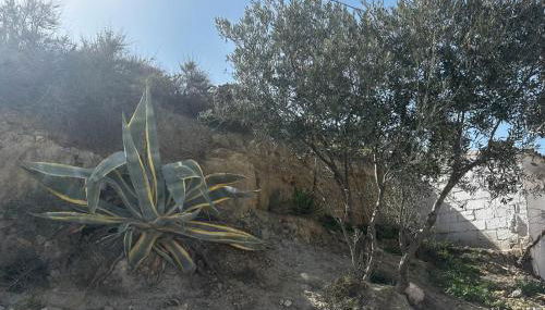 The Crystal Cave - Foto 2, Garden view