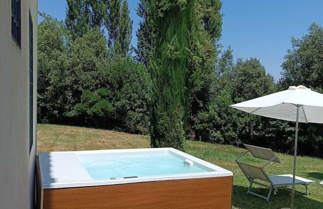 Gatto Bianco Tizzauli - Foto 21