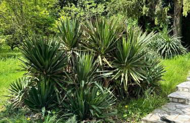 Chez Alexandrine Havre de paix romantique & bucolique Sous les étoiles exactement et proche des châteaux de la Loire et du Parc de Beauval - Foto 38