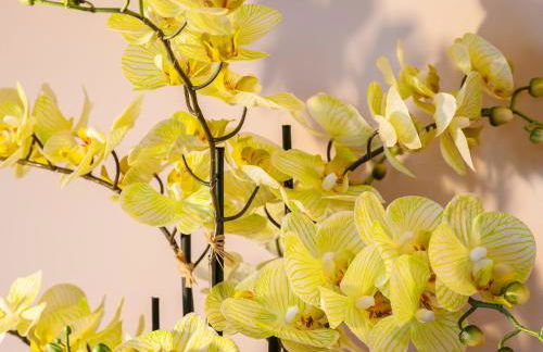 Haven Heights - Foto 20