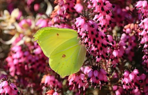 Haus der Behaglichkeit - Foto 12