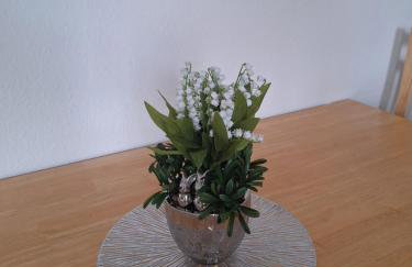 Wohnung Sonnenschein Wolgast - Foto 47