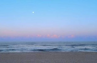 Blue Moon - LUX Oceanfront Pool Hot Tub Theater - Photo 15