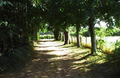 La vie calme - Foto 21