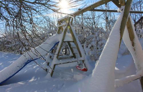 Eifel Dream Schneifelhaus - Photo 62
