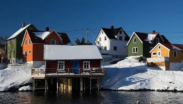 Winter in the North of Lofoten Islands - Half-Day Small Group Tour - Photo 2