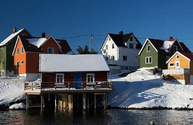 Winter in den Lofoten - Halbtagestour in kleiner Gruppe - Foto 2