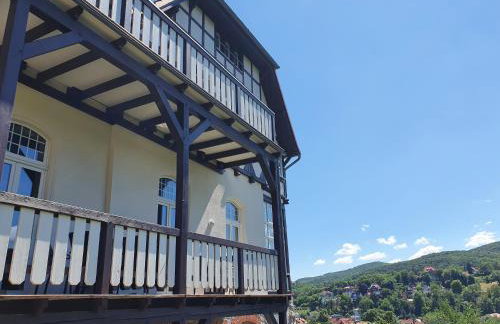 Apartments Villa-Ratskopf Wernigerode - Photo 85