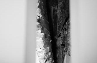 Seven Abbey Lane - Foto 127