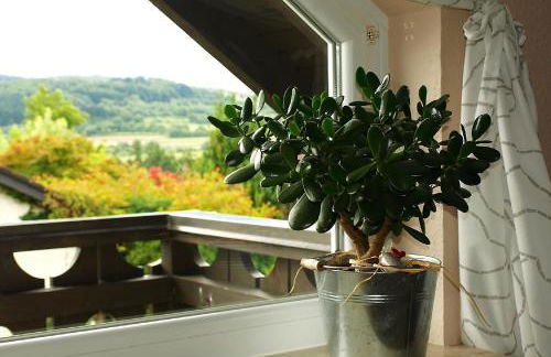 Ferienwohnung Storchenblick - Foto 5