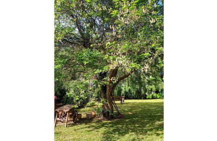 Riverside Lodge Self-Catering Apartment - Foto 6