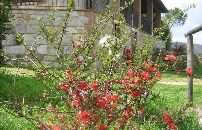 Agriturismo Casa Fibbianello - Foto 20