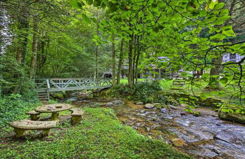 Outdoor Explorers! Roan Mtn Haven with On-Site Creek - Foto 32