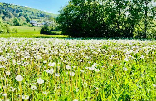 Panoramablick mit Premium-Wanderwegen vor der Haustür - Foto 33
