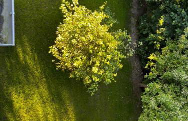 Ein Traum am Wildparkgehege - Foto 18