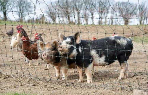 Sandy Cove Cottage - Foto 65