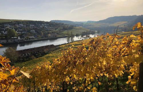 DreiländerOase - Foto 20