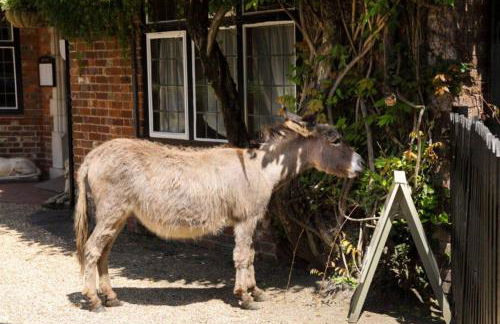 Moo Cottage - Foto 51