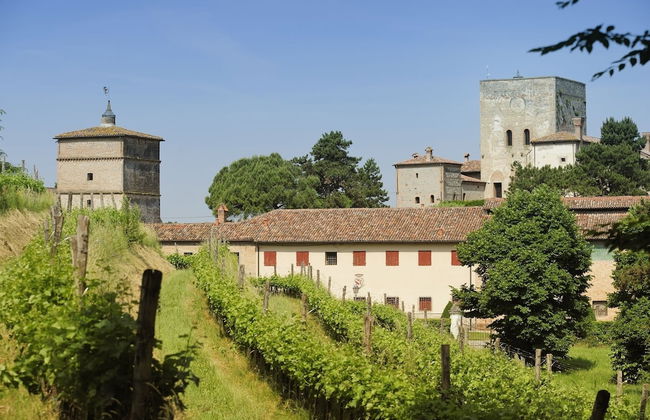 Agriturismo La Montecchia - Foto 43