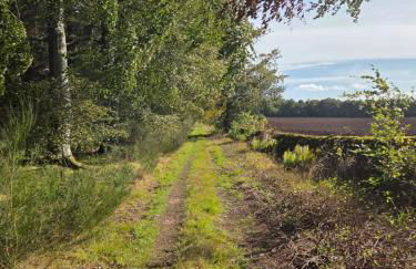 The Cairn at North Lodge, Rural Guest Suite - Foto 43