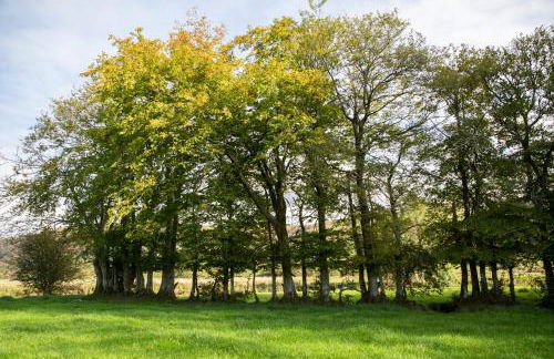 Felin Gogoyan - Photo 34