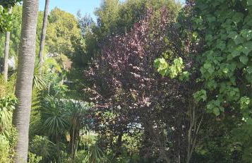 Bonito piso con jardines y piscina - Photo 35