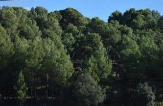 Villa Serrano, La casa rural de los mil suelos - Foto 13