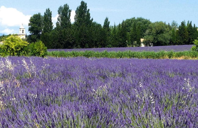 Private Garden House in Redortiers - Foto 24