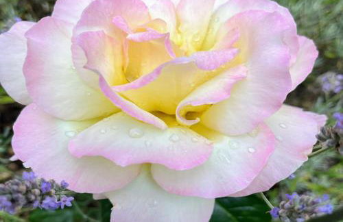 Stadtmitte-Iserlohn - Foto 28