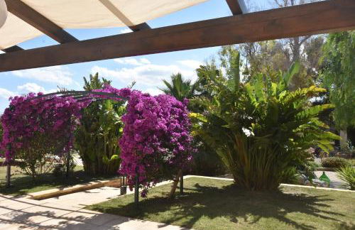 Masseria Giulio - Foto 39