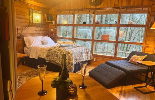 Private Mtn Love Shack w/ fast wifi, BBQ & view - Foto 35