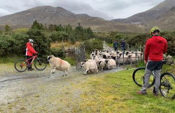 Thistle Thatch Cottage and Hot Tub - Mourne Mountains - Foto 21