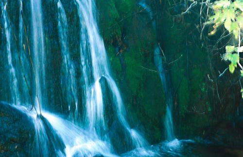 Horta de Torrejais - Foto 34