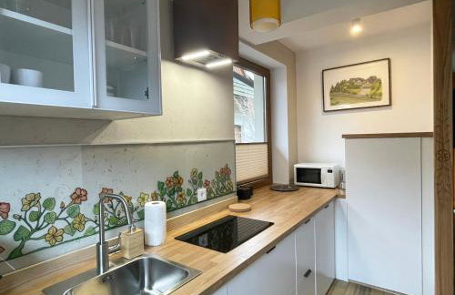 Apartamenty Kornaje - Szczawnica Jaworki - komfortowe apartamenty, basen, sauna, duży ogród, blisko szlaków i stoku narciarskiego - Photo 3