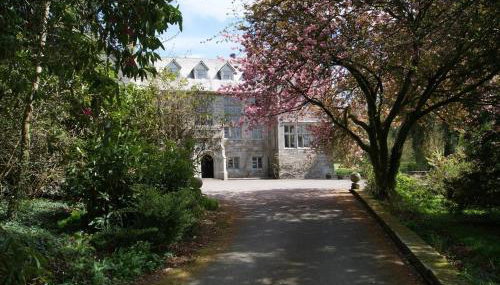 Hengar Select - Foto 3