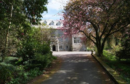 Hengar Select - Foto 3