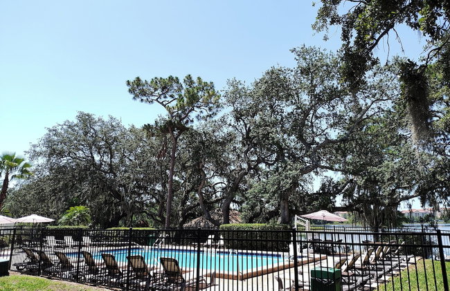Lifetime of Vacations Resort - Foto 22