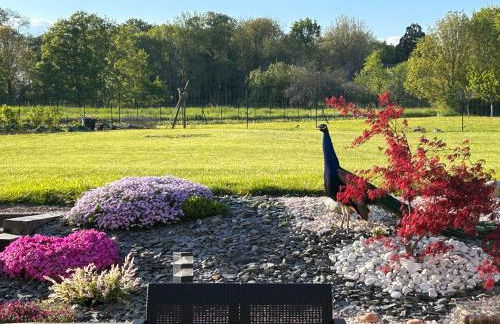 Gite 1er Cru - La Loubertine - Foto 9