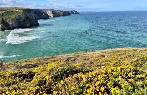 Mapa Cottage - Foto 18