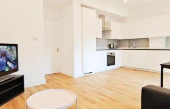 Phlox Garden - Foto 42