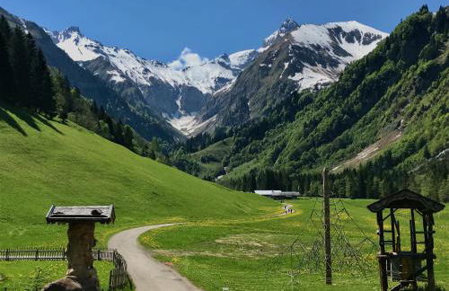 Ferienwohnung Bergrose - Foto 29