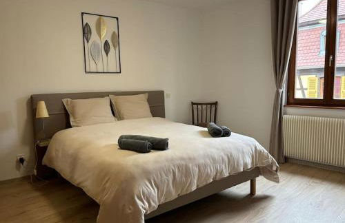 Gîte de la Fontaine Charmante maison au cœur de Beblenheim - Route des vins - Foto 7