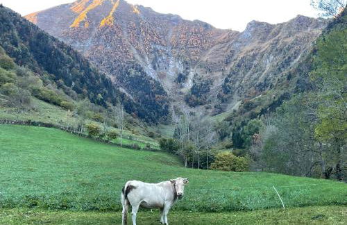 T2 classé 3 étoiles coeur de village et Piscine ext - Foto 30