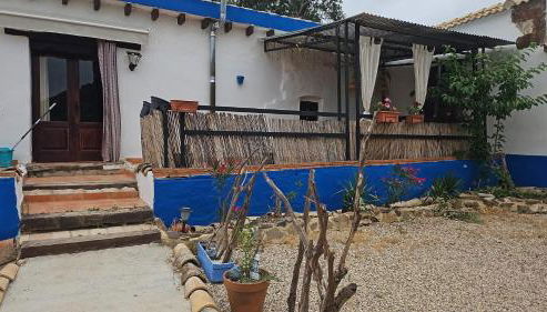 Experience Alpacas in Andalucia - Foto 4